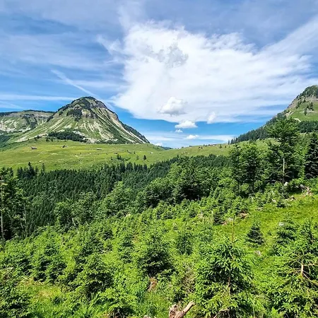 Lägenhet Haus Einbergblick *