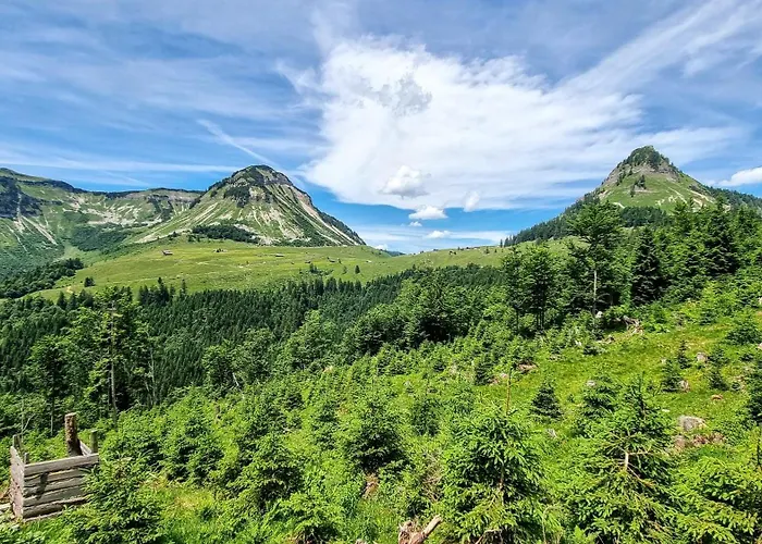 Lägenhet Haus Einbergblick *